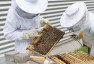 Przegląd ula i kondycji rodziny pszczelej